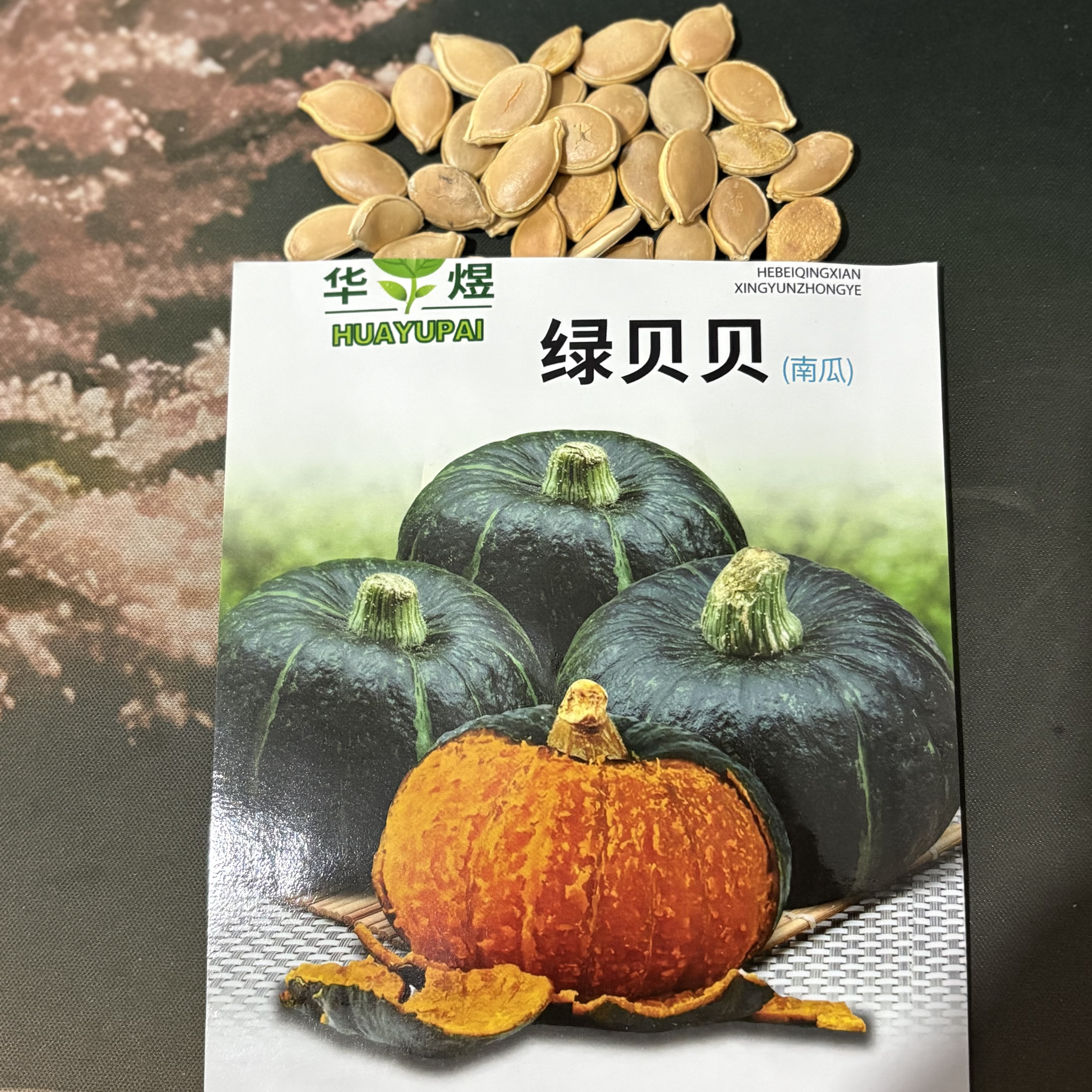 南瓜种子早熟日本板栗小南瓜高产甜面香糯农家小南瓜籽庭院蔬菜种