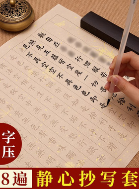 般若菠萝蜜多临摹作品纸抄经临摹本行书静心手抄临摹经手写练字帖