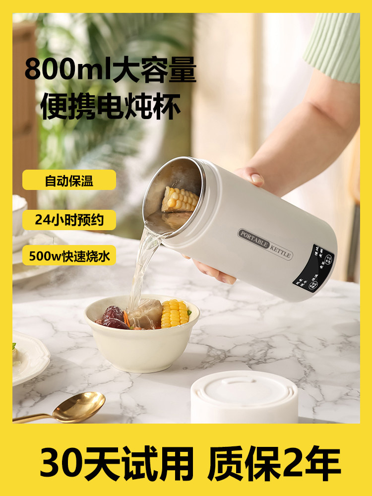 电炖杯多功能电热水杯小型养生杯便携式煮茶壶宿舍煮粥炖煮一体壶