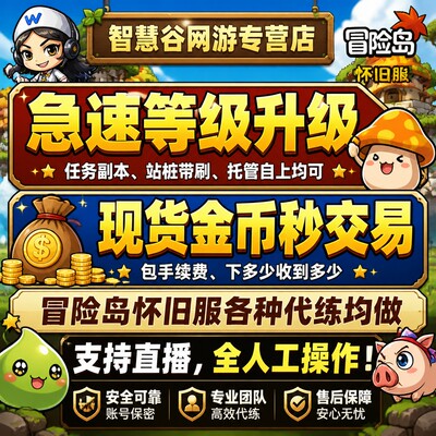 冒险岛怀旧服等级代练代肝国服升等级金币挂绳子练级装备交易代打