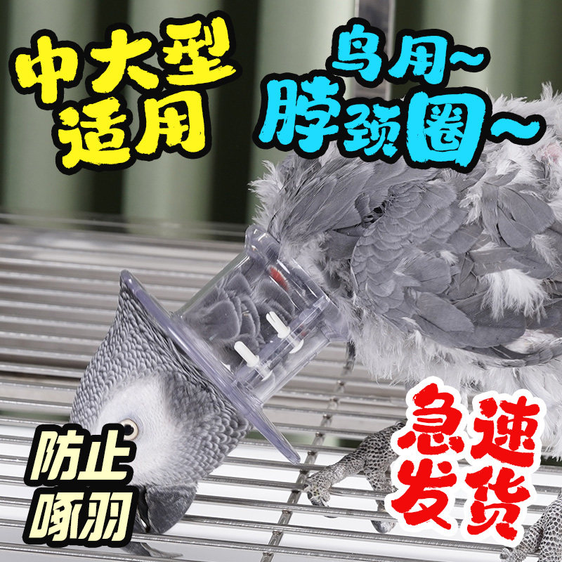 中大型鹦鹉专用防咬毛脖圈治疗啄羽防抓治病脖套小太和尚凯克金刚