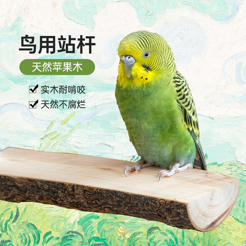 酷克宠物鹦鹉站杆天然果木清香