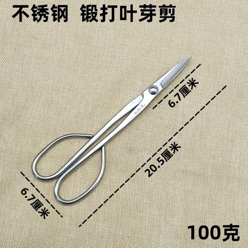 加厚叶芽剪刀全不锈钢园艺剪嫩芽修枝小枝切剪盆景长杆剪刀