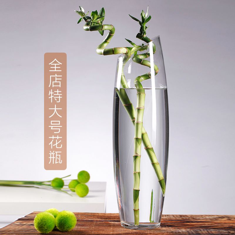 特大号富贵竹花瓶玻璃透明斜口60cm落地大号插花水培银柳水竹花瓶