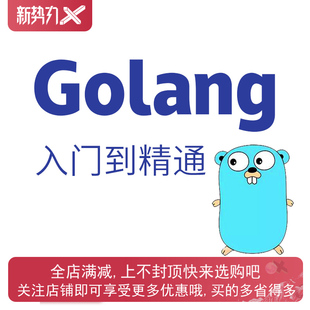 服务 Golang从入门到精通课程随到随学一对一指导马士兵教育全新款