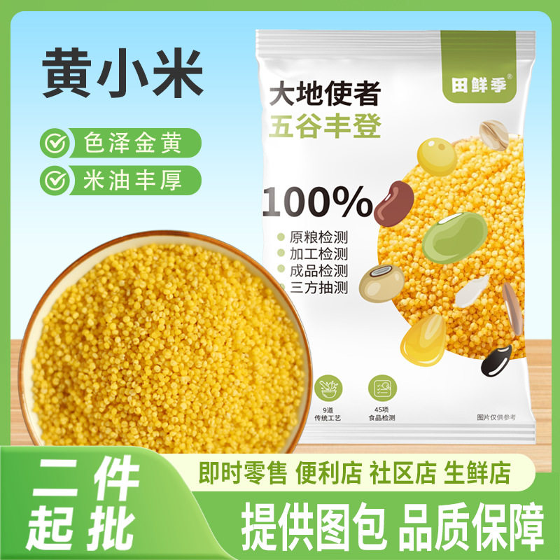 黄小米新米500g小黄米宝宝米油厚月子米家庭营养辅食小米粥