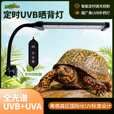 乌龟晒背灯uvb灯全光谱紫外线