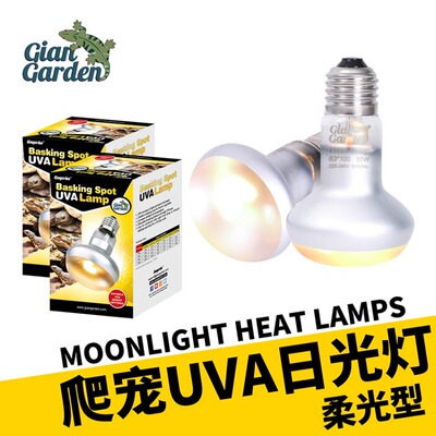 UVA加热灯爬宠加热灯恒温