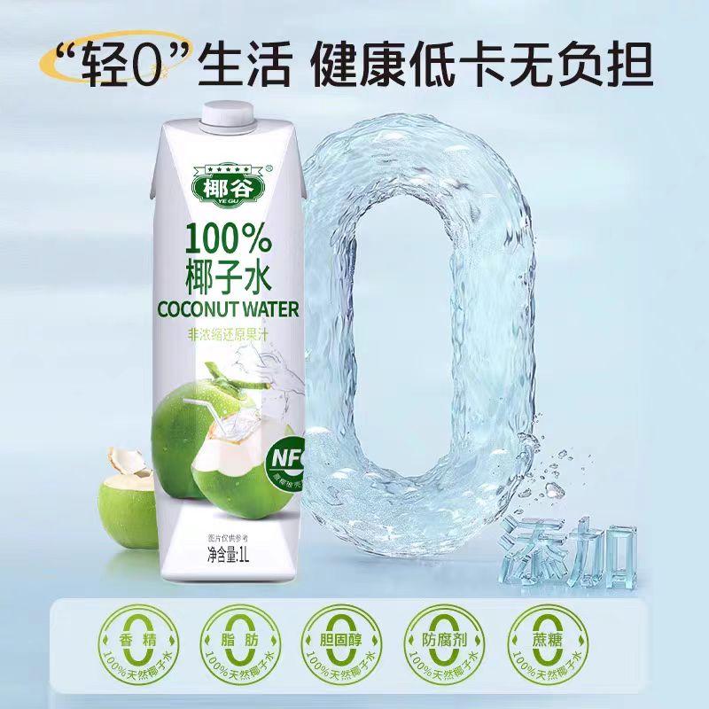 0脂肪椰谷椰子椰汁健康饮品