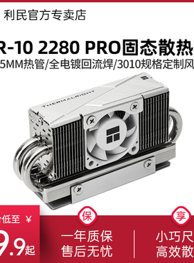 利民HR-10 2280 PRO M.2 SSD固态硬盘散热器 4热管主动式散热马甲