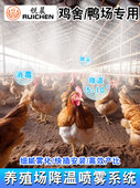 鸡场养殖场降温喷雾设备自动定时雾化系统鸭圈猪场微喷头加湿消毒