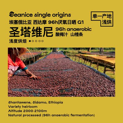 Beanice圣塔维尼96h厌氧日晒·酸梅汁山楂条埃塞浅烘咖啡豆125g