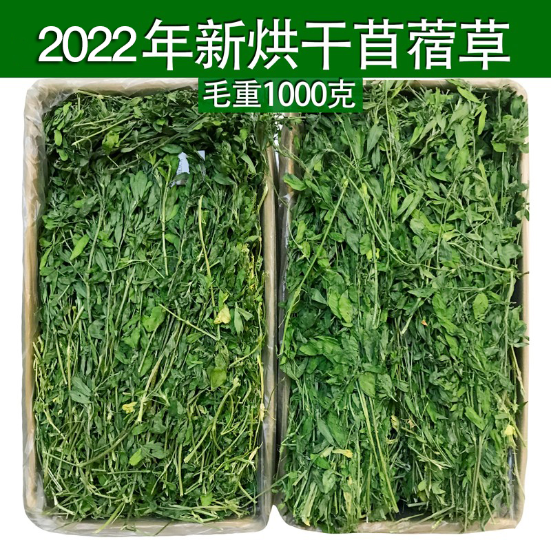 25年新紫花苜蓿草干草 兔粮龙猫荷兰猪粮豚鼠牧草兔草饲料毛重2斤