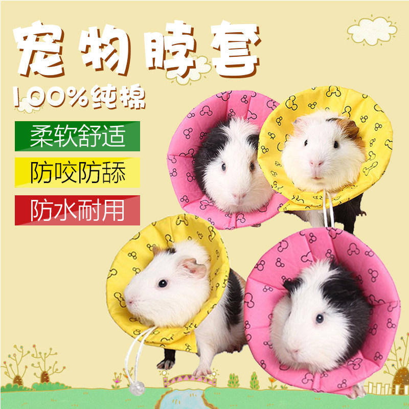 仓鼠松鼠龙猫荷兰猪兔子防咬伊丽莎白项圈 治疗皮肤病防舔咬用品