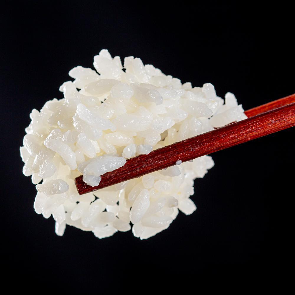 【光辉穗月】东北新米生态香米500g1斤2斤五常胚芽大米5kg一袋