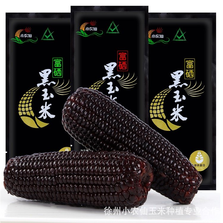 香甜软糯当季新货富硒黑玉米口感