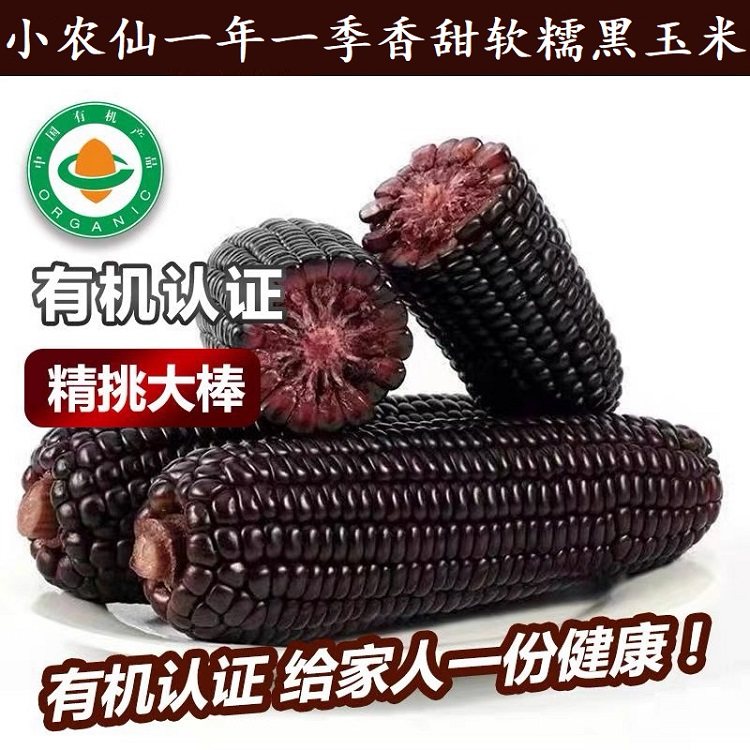 小农仙有机认证黑玉米含花青素香甜糯软原味玉米200g/50根装