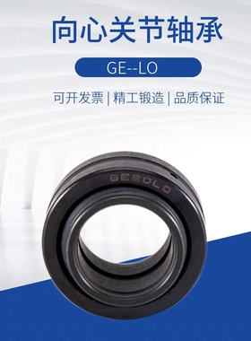 向心关节轴承BNP01-GE12/16/20/25/30/32/35/40/50/60/63/70/80LO