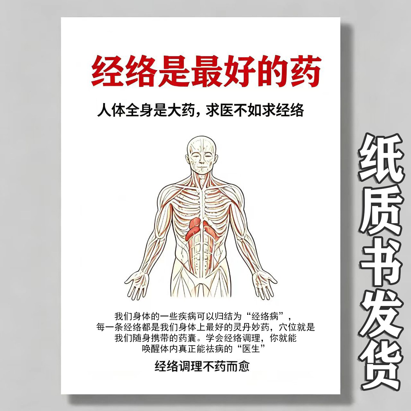 十二经络人体经络按摩经络祛病学会活穴五味主药气血心经肝脏保养