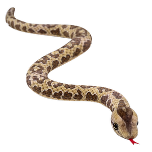 仿真蛇毛绒玩具小号蛇公仔蟒蛇玩偶假蛇整蛊恶搞礼物送男女生儿童