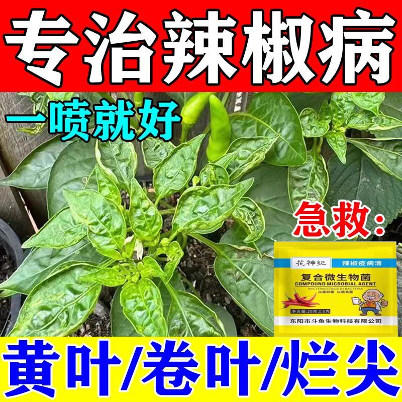 辣椒病毒病专用药辣椒疫病清肥料辣椒卷叶病缩叶病黄叶烂根病全治