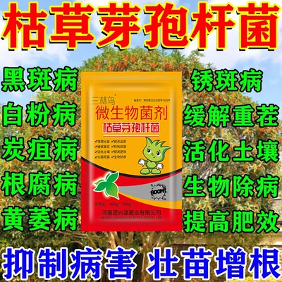 枯草芽孢菌杆菌正品兰花桂花专用哈茨木霉微生物菌剂生根土壤农用