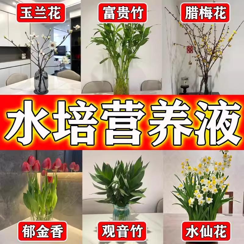 水培植物专用营养液通用型富贵竹郁金香铜钱草碗莲睡莲观音竹通用