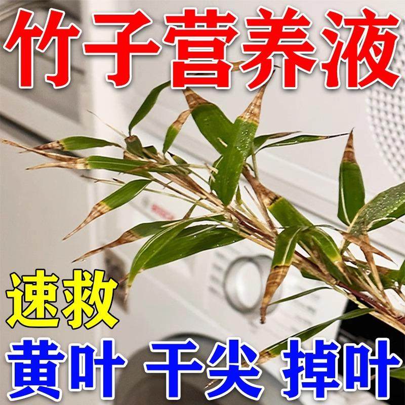 竹子专用肥料防救叶子发黄干尖掉叶黄叶病竹子专用营养液促芽生根,鲜花速递/花卉仿真/绿植园艺,家庭园艺肥料,淘宝优惠券,粉丝福利购,淘宝优惠卷
