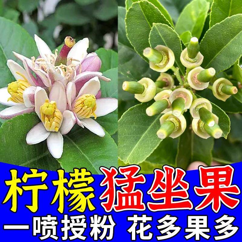 柠檬护花护果肥催花授粉坐果灵增产专用肥叶面肥香水柠檬树肥料