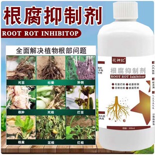 根腐克星根腐病专用辣椒草莓蔬菜果树预防烂根抑制剂药微生物菌剂