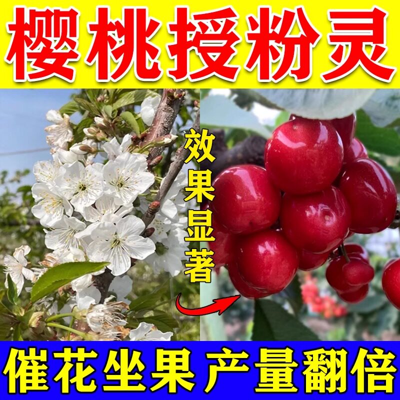 樱桃授粉专用药神器座果灵保花保果精花粉催花促防落果增产增收大
