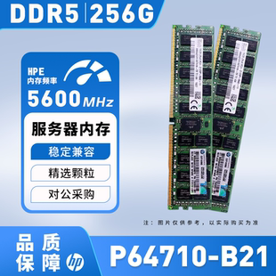 P53629 B21服务器内存条256GB 0A1 DDR5 议价 5600 惠普P64710