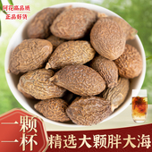 胖大海中药材500g泡水正品 野生另售金银花罗汉果甘草菊花泡茶特级