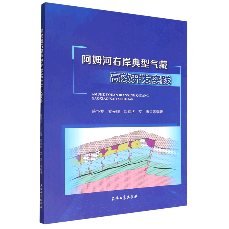 阿姆河右岸典型气藏高效开发实践