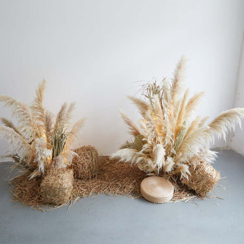 仿真芦苇造景室内装饰网红白色场景布置服装店橱窗楼梯间景观美陈