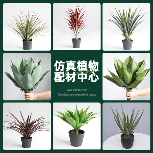 仿真绿植龙舌兰盆栽芦荟多肉植物配件造景客厅橱窗落地景观装饰