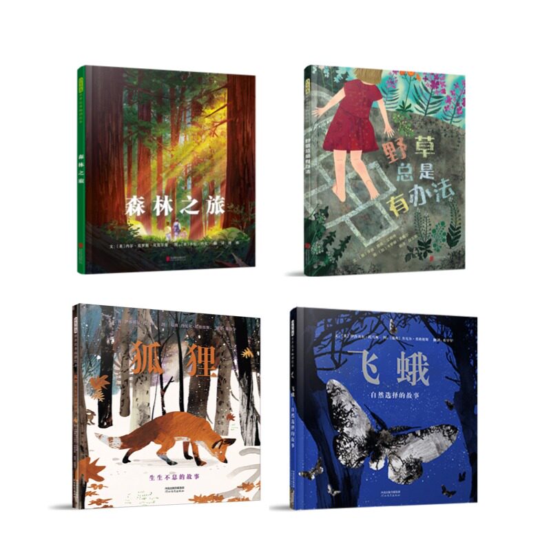 森林之旅+野草总是有办法+狐狸+飞蛾系列图书精装科普绘本 张丹丹推荐4册