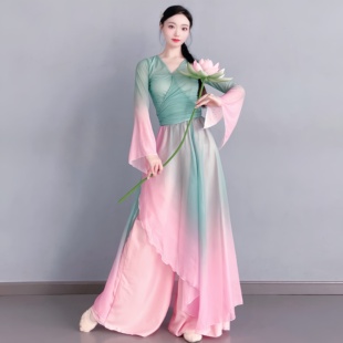 套装 荷花精 舞蹈服女练功服纱衣飘逸仙气中国舞演出服装
