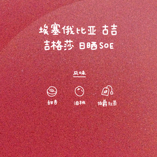 河汉咖啡埃塞俄比亚古吉单品豆吉格莎日晒SOE中浅烘意式咖啡豆