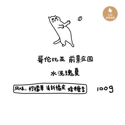 河汉前景庄园水洗瑰夏浅烘手冲豆