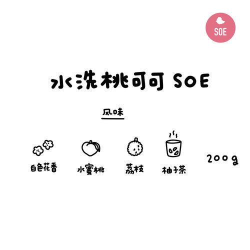 河汉埃塞水洗桃可可中浅烘咖啡豆