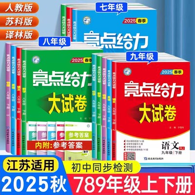 2025新版亮点给力试卷语文数学