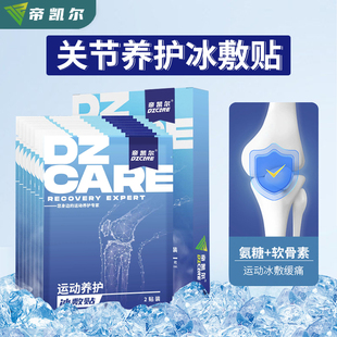 DZcare帝凯尔关节养护冰敷贴篮球足球运动营养膝盖冰敷贴