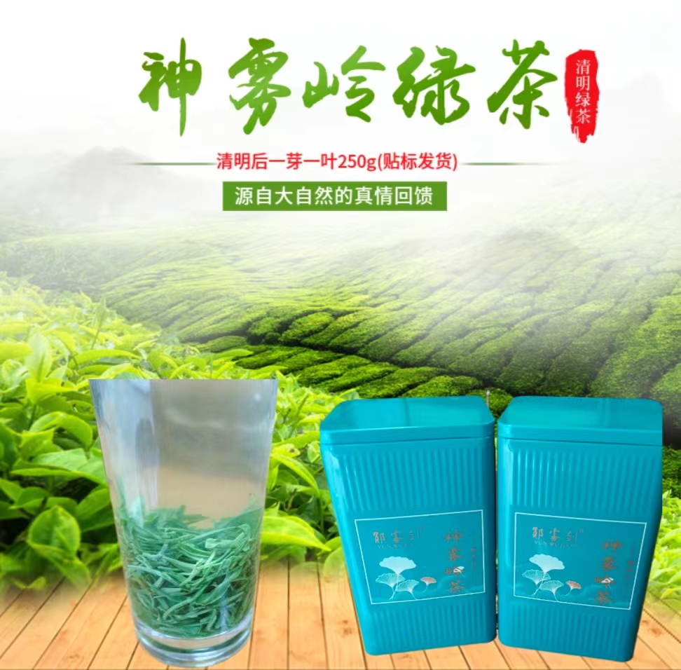 郧西神雾绿茶纯手工一芽