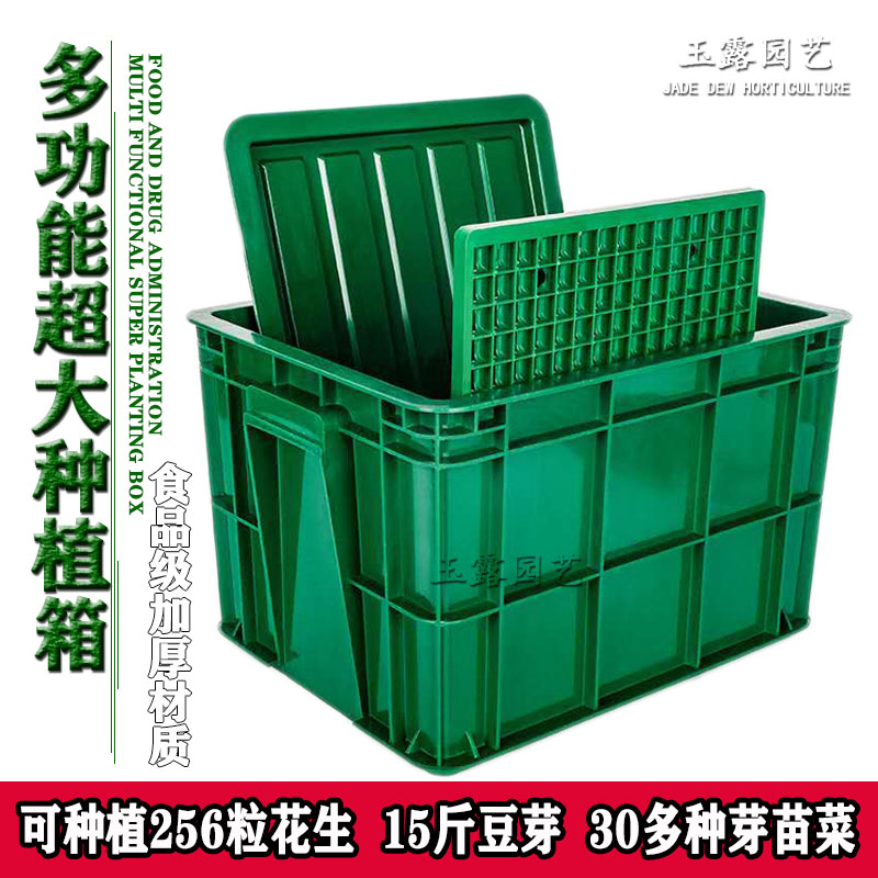 家用花生芽发芽神器水培箱盆盒子育苗盘/营养钵