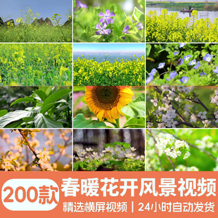 春暖花开春天风景短视频素材