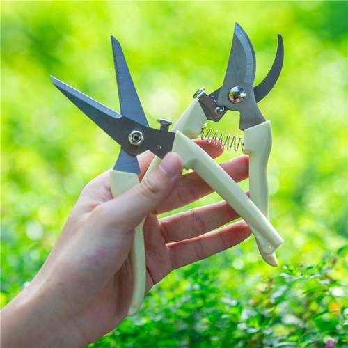 园艺剪枝剪刀修枝剪不锈钢园林花艺剪子工具修剪树枝花剪买 一送