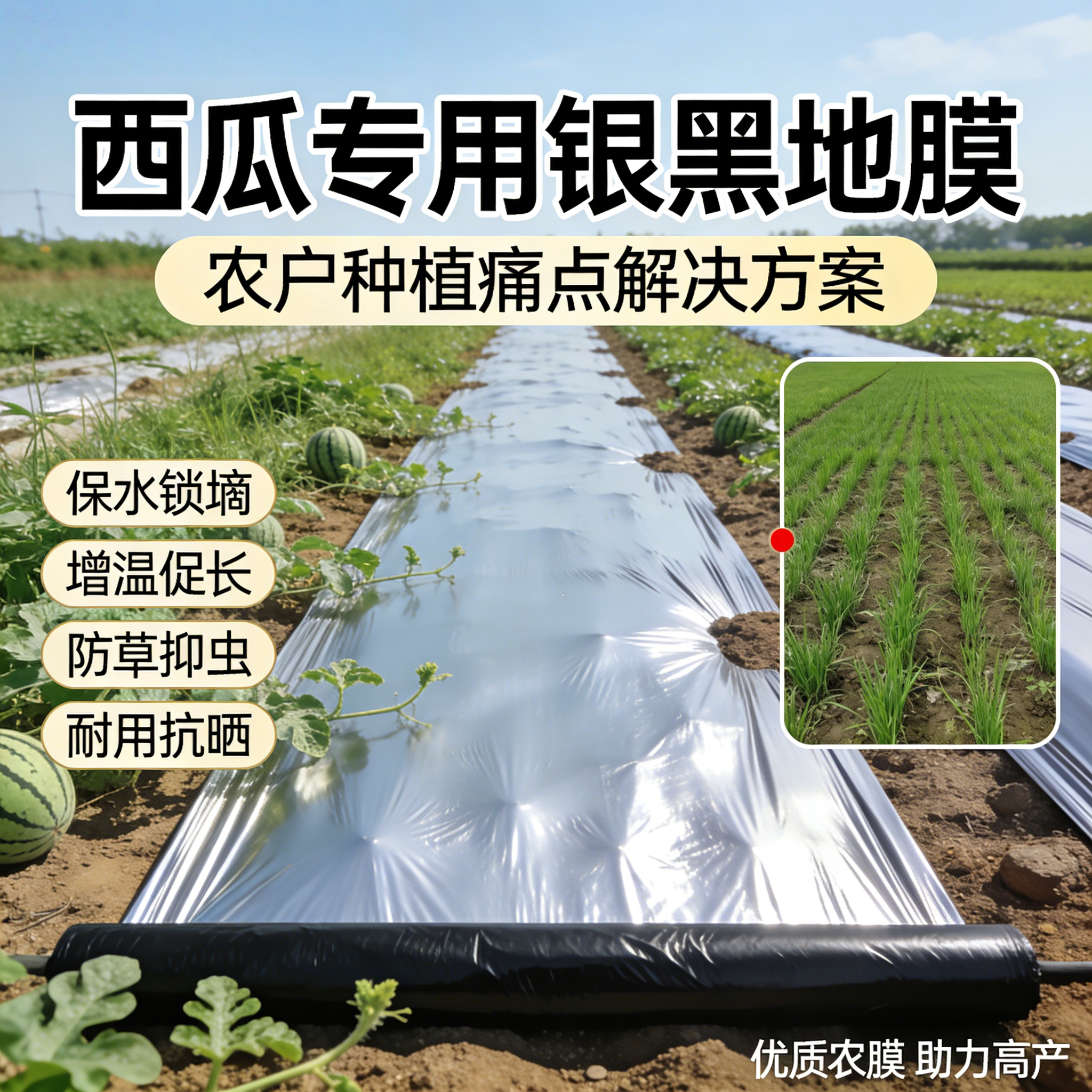 银黑双色地膜打孔带孔农业种植膜图片