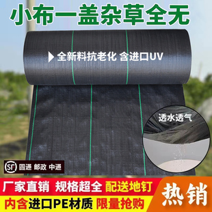 防草布农用除草布果园抗老化果树耐用地膜保湿园艺地布盖草遮