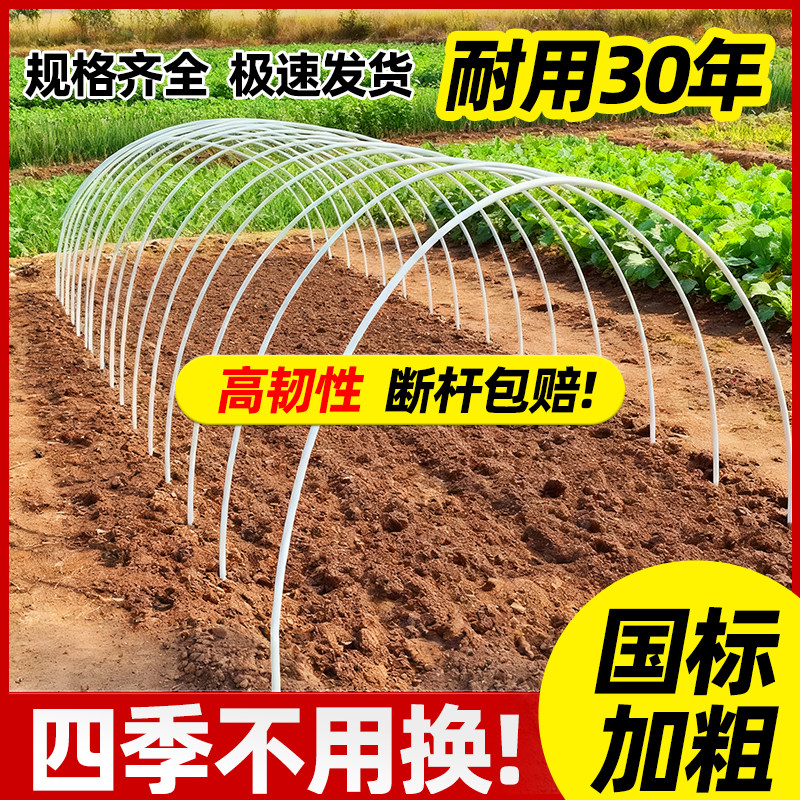 新型实心大棚支架种菜育苗图片
